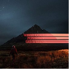 DOMINIC FIKE-WHAT COULD POSSIBLY GO.. (LP)