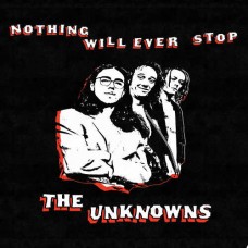 THE UNKNOWNS-NOTHING WILL EVER STOP (LP)