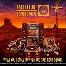 PUBLIC ENEMY-WHAT YOU GONNA DO WHEN THE GRID GOES DOWN? -HQ- (LP)