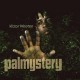 VICTOR WOOTEN-PALMYSTERY (CD)