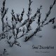 SOUL DISSOLUTION-WINTER CONTEMPLATIONS (CD)