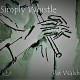 PAT WALSH-SIMPLY WHISTLE (CD)