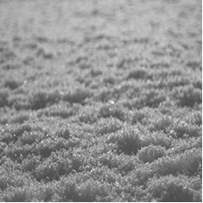 PAYSAGE D'HIVER-SCHNEE (CD)