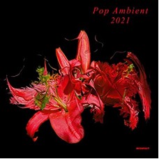 V/A-POP AMBIENT 2021 (LP)
