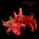 V/A-POP AMBIENT 2021 (LP)