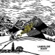 LANDSLIDE DIARY-IN PRESENCE OF PAGE (LP)