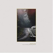 STEVE BUG-NEVER ENDING.. -DELUXE- (2LP)