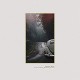 STEVE BUG-NEVER ENDING.. -DELUXE- (2LP)