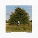 GRANDBROTHERS-ALL THE UNKNOWN (CD)