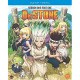 ANIMAÇÃO-DR. STONE: SEASON 1.1 (2BLU-RAY)