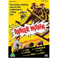FILME-DANGER WITHIN (DVD)
