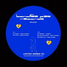 V/A-LIMITED SERIES 09 (12")