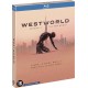 SÉRIES TV-WESTWORLD - SEASON 3 (3BLU-RAY)