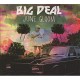 BIG DEAL-JUNE GLOOM (CD)