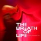 BREATH OF LIFE-SPARK AROUND US (CD)