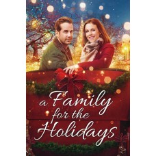 FILME-A FAMILY FOR THE HOLIDAYS (DVD)