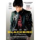 FILME-BLACKBIRD (DVD)