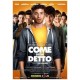 FILME-COME NON DETTO (DVD)