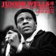 JUNIOR WELLS-SOUTHSIDE BLUES JAM (CD)