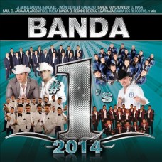 V/A-BANDA #1'S 2014 (CD)