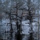 NATHAN BOWLES-NANSEMOND (CD)