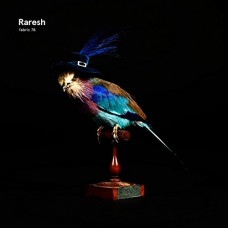 V/A-FABRIC 78: RARESH (CD)