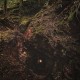 BAPTISTS-BLOODMINES (LP)