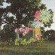 MEDICINE-HOME EVERYWHERE (LP)