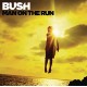 BUSH-MAN ON THE RUN =DELUXE EDITION= (CD)