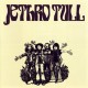 JETHRO TULL-ESSENTIAL HITS SINGLES.. (CD)