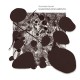 SCHNEIDER KACIREK-SHADOWS DOCUMENT (LP+CD)