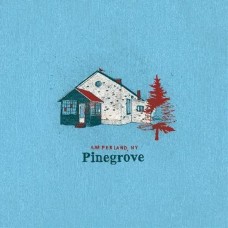 PINEGROVE-AMPERLAND, NY -GATEFOLD- (LP)