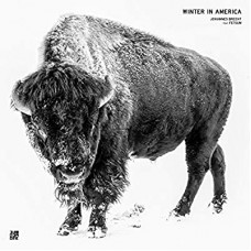 JOHANNES BRECHT-WINTER IN AMERICA (12")