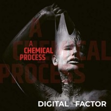 DIGITAL FACTOR-A CHEMICAL.. -DELUXE- (CD)