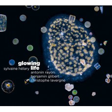 SYLVAINE HELARY-GLOWING LIFE (CD)
