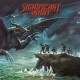 SIGNIFICANT POINT-INTO THE STORM (LP)