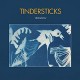 TINDERSTICKS-DISTRACTIONS (CD)