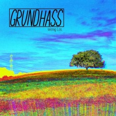 GRUNDHASS-WENIG LOS (LP)