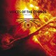 VOICES OF THE COSMOS-INTERSTELLAR SPACE (LP)