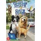 FILME-CATS & DOGS 3 (DVD)