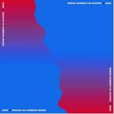DIRK.-CRACKS IN COMMON SENSE (LP)