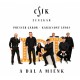 CSIK ZENEKAR-A DAL A MIENK (CD)
