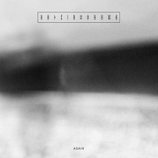 SELFISHADOWS-AGAIN (LP)