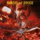 BAND OF SPICE-BY THE CORNER OF TOMORROW (LP)