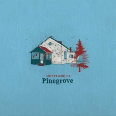 PINEGROVE-AMPERLAND, NY (CD)