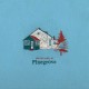 PINEGROVE-AMPERLAND, NY (CD)