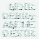 NOIR DESIR-DEBRANCHE (CD)