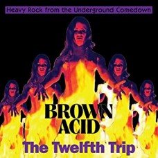 V/A-BROWN ACID: THE TWELFTH.. (LP)
