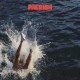 PAERISH-FIXED IT ALL (LP)