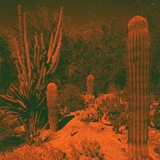 CAMERON KNOWLER & ELI WINTER-ANTICIPATION (CD)